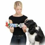 AeroDawg Inhalator für große Hunde kobieta-stosuje-aerodawg-na-swoim-psie-1-150x150.jpg