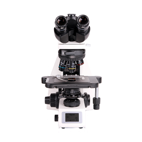 Labormikroskop Nexcope NE620 Nexcope NE620-2.png