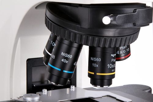 Labormikroskop Nexcope NE620 Nexcope NE620-4.jpg