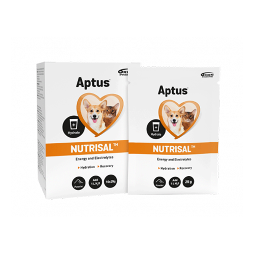 Aptus NUTRISAL Pulver 10 x 25 g Nutrisal.png