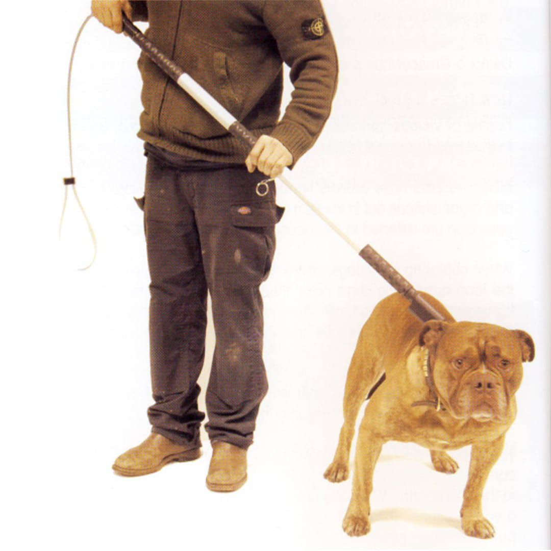 Greifer für starke und aggressive Hunde 110 cm lang