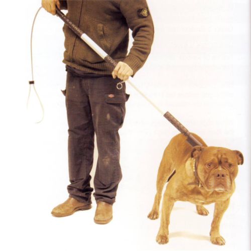 Greifer für starke und aggressive Hunde 110 cm lang chwytak-1 (1).jpg