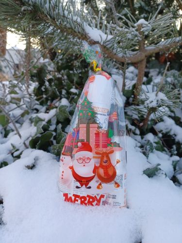 Silveco Weihnachts-Pflegeset zdj. 1.jpg