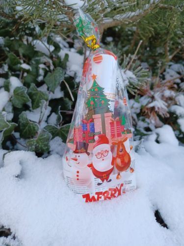 Silveco Weihnachts-Pflegeset zdj. 2.jpg