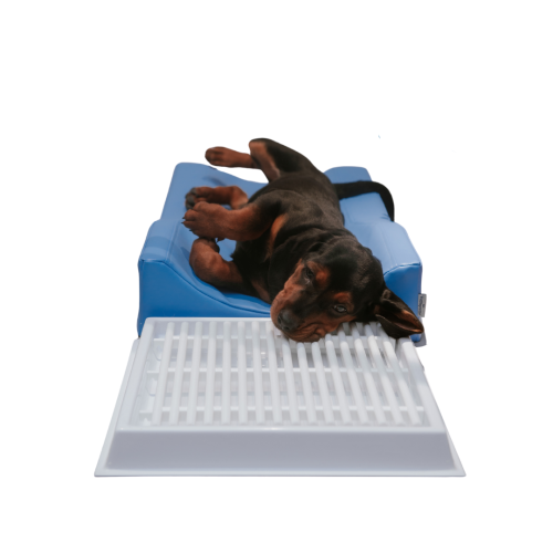 Zahnärztliches Positioniergerät M Givawar (1).png