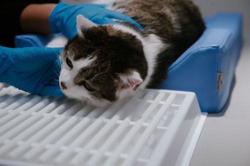 Zahnärztliches Positioniergerät M _4PI4453-9-min.jpg