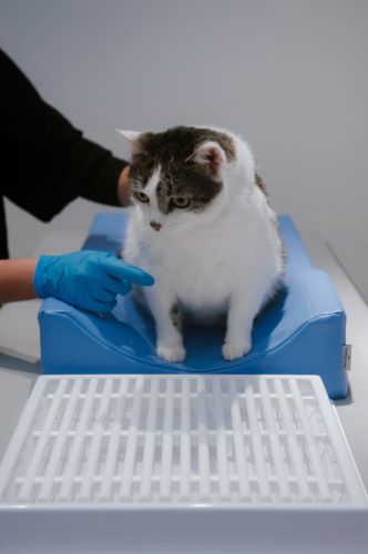 Zahnärztliches Positioniergerät M _4PI4457-min.jpg