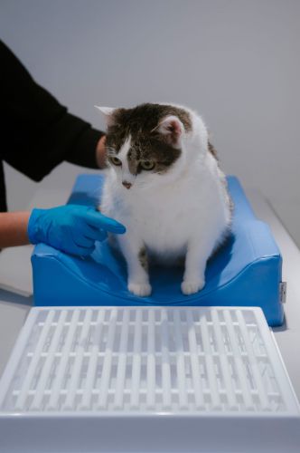 Dental Drainer _4PI4457-16-min.jpg