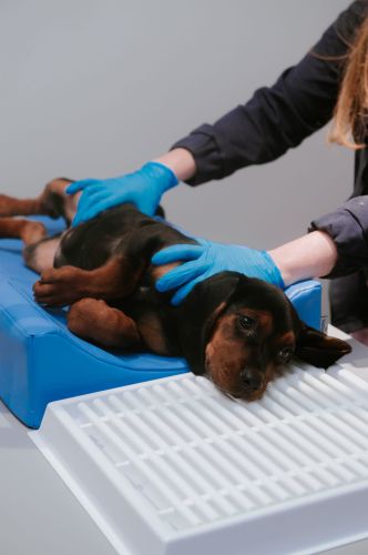 Dental Drainer _4PI4553-4-min.jpg