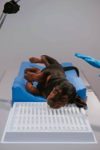 Dental Drainer _4PI4564-19-min.jpg