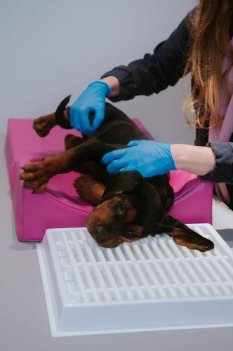 Dental Drainer _4PI4582-6-min.jpg