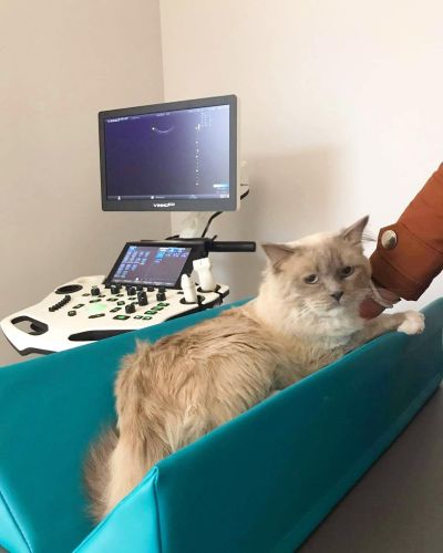 Diagnose Stellungsregler L Diagnostic positioner 5-min.jpg
