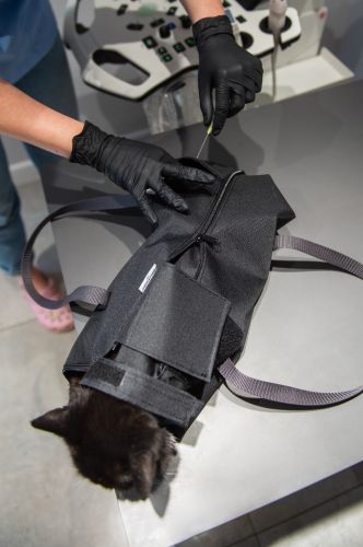 Injektionsbeutel schwarz _4PI1226-min.jpg