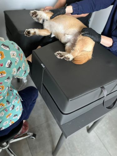 Echo-Testmatratze dunkelgrau Echo mattress VS9-min.jpg