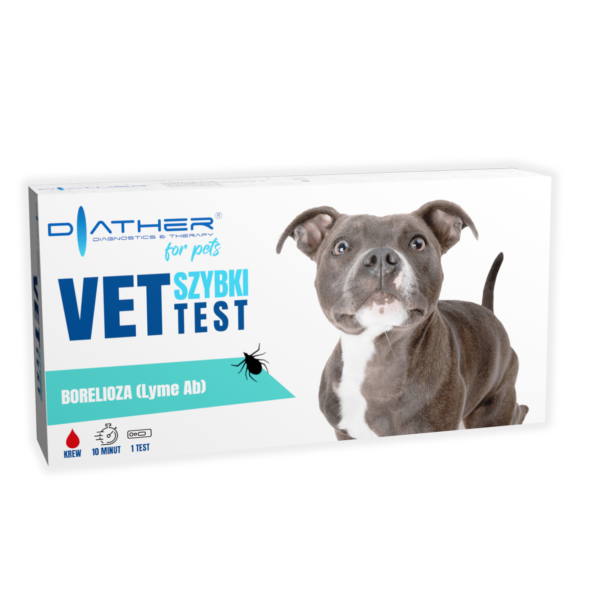 Lyme-Borreliose-Test Ab 1 St. Diather