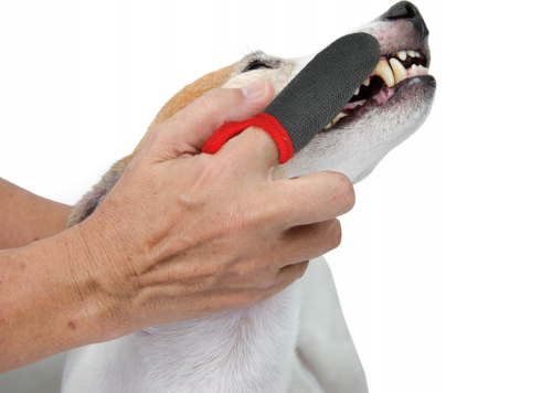 GF ZAHNREINIGER MIT ZINK Czyściki 2.png