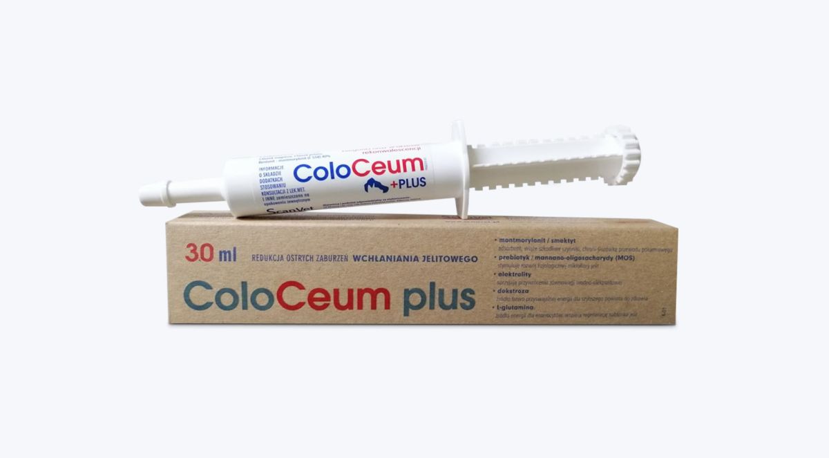 Pasta ColoCeum.jpg