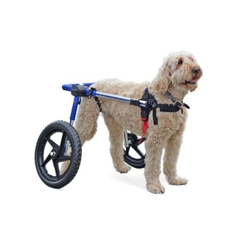 Walkinpets Rollstuhl für Hunde großer Rassen walkinpets-wozki-inwalidzkie-duzy-rozmiar-32-68-kg (1).jpg