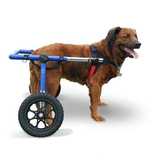 Walkinpets Rollstuhl für Hunde großer Rassen walkinpets-wozki-inwalidzkie-duzy-rozmiar-32-68-kg.jpg
