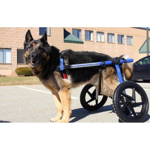 Walkinpets Rollstuhl für Hunde großer Rassen walkinpets-wozki-inwalidzkie-duzy-rozmiar-32-68-kg (2).jpg