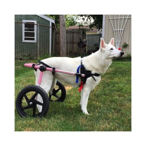 Walkinpets Rollstuhl für Hunde großer Rassen walkinpets-wozki-inwalidzkie-duzy-rozmiar-32-68-kg (3).jpg