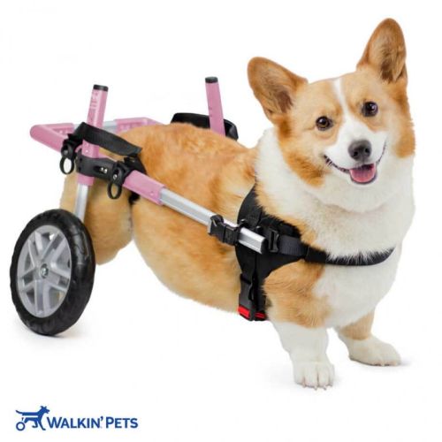 CORGIE Walkinpets Hunde-Rollstuhl walkinpets-wozek-dla-psa-corgie-dla-psow (1).jpg