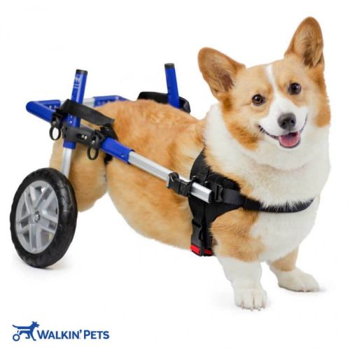 CORGIE Walkinpets Hunde-Rollstuhl walkinpets-wozek-dla-psa-corgie-dla-psow.jpg