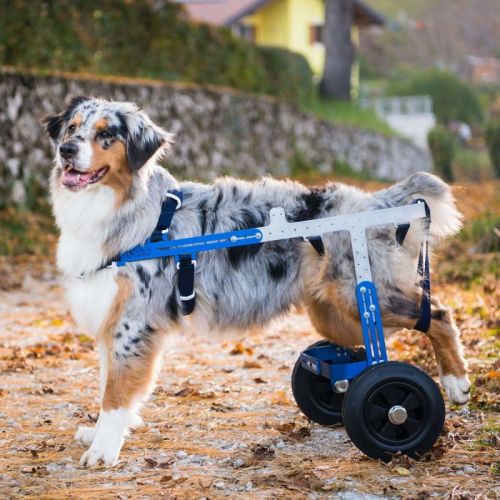 Balto OFF ROAD Geländewagen für Hunde balto-off-road-wozek-terenowy-dla-psa-s-m-l.jpg