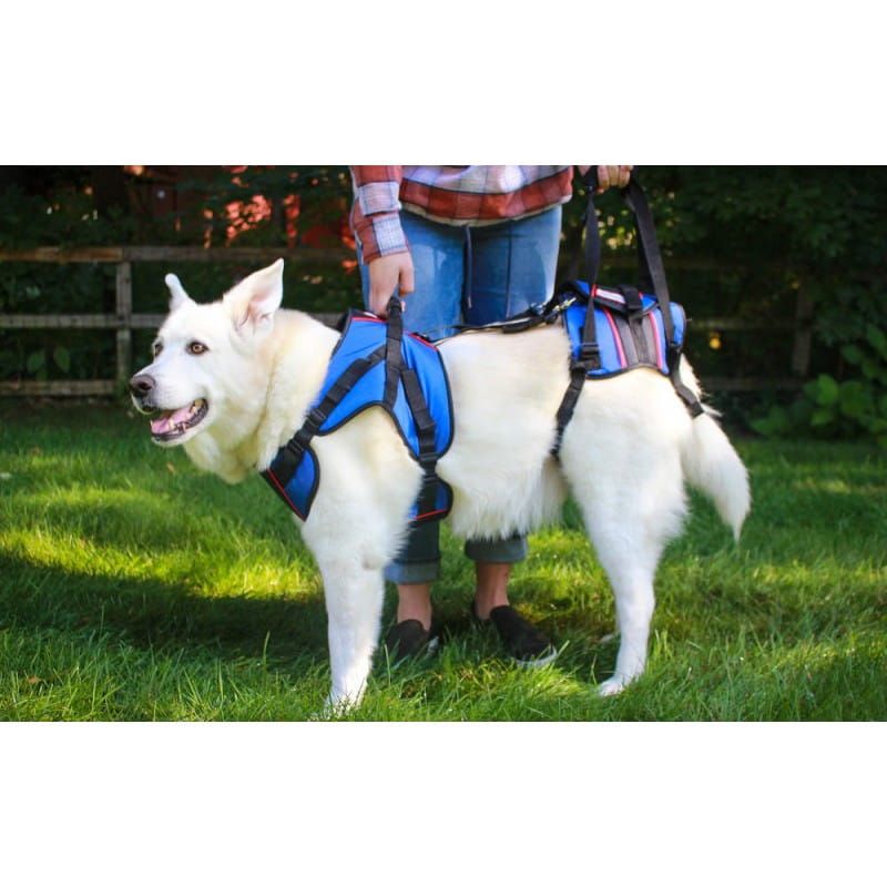 Walkinpets Front-Rehabilitationsgeschirr für Hunde