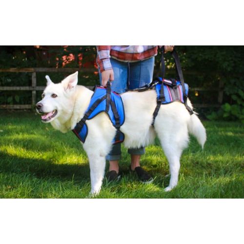 Walkinpets Front-Rehabilitationsgeschirr für Hunde walkinpets-szelki-rehabilitacyjne-combo-dla-psow (1).jpg