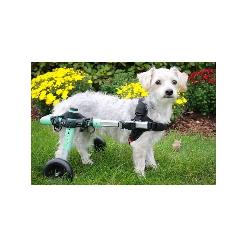 Rollstuhl für Hunde 5 - 8 kg Walkinpets