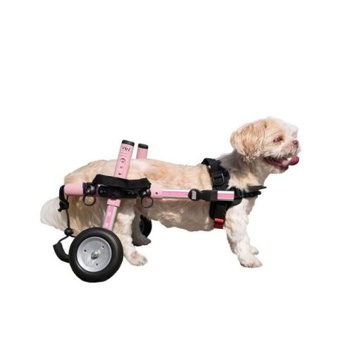 Rollstuhl für Hunde 5 - 8 kg Walkinpets walkinpets-wozki-inwalidzkie-maly-rozmiar-5-11-kg (2).jpg