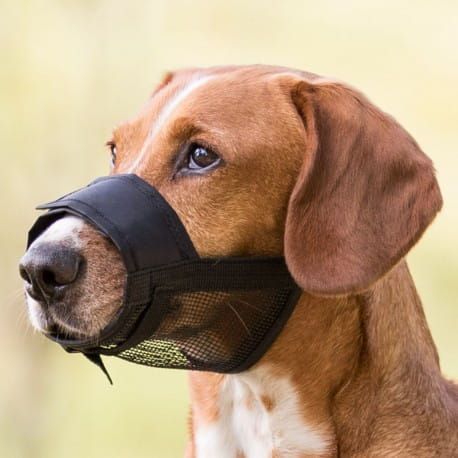 Maulkorb aus Stoff mit Netz für Hunde