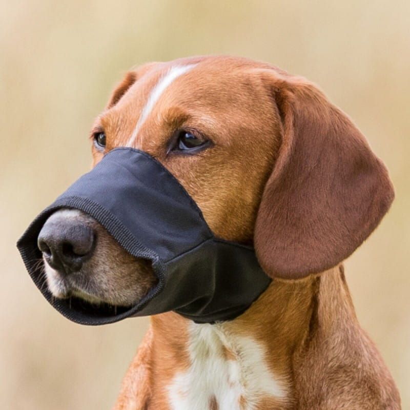 Hundemaulkorb aus Stoff