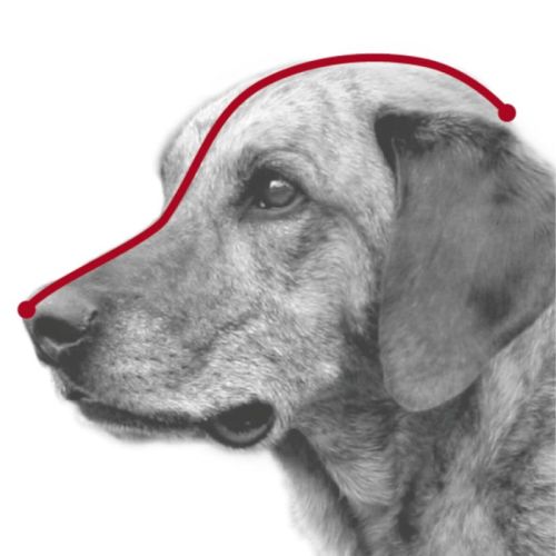 Hundemaulkorb aus Kunststoff kaganiec-1-plastik (2).jpg