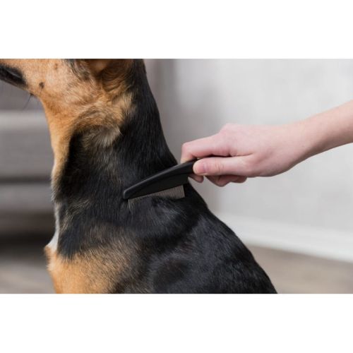 Anti-Floh-Kamm 15 cm Trixie grzebien-przeciwpchelny-15cm (4).jpg