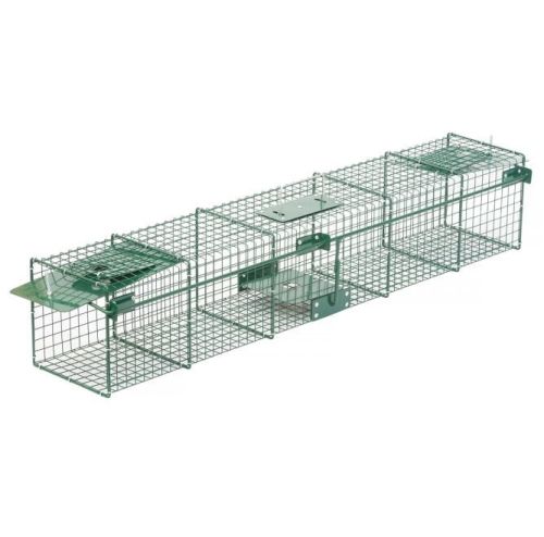 STR-Falle mit zwei Eingängen für Marder, Iltisse und Grackles