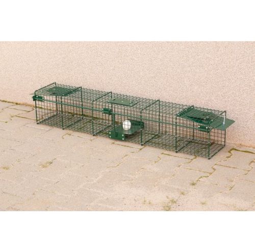 STR-Falle mit zwei Eingängen für Marder, Iltisse und Grackles 556-7_fermo_1.jpg