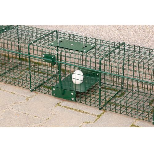 STR-Falle mit zwei Eingängen für Marder, Iltisse und Grackles 556-8_fermo_1.jpg