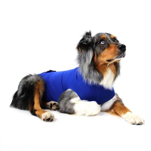 Recova Balto postoperatives Kleid balto-recova-odziez-pooperacyjna-dla-psow-i-kotow (1).jpg