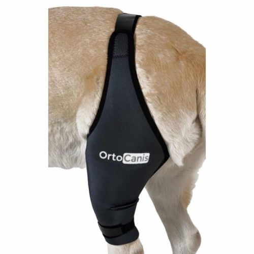Rechte Knieschiene für Hunde Ortocanis ortocanis-orteza-kolana-dla-psa (8).jpg