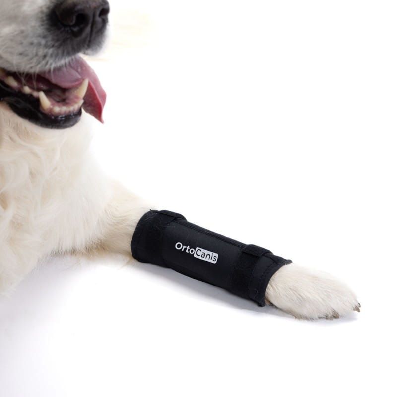 Ortocanis Handgelenkschützer für Hunde