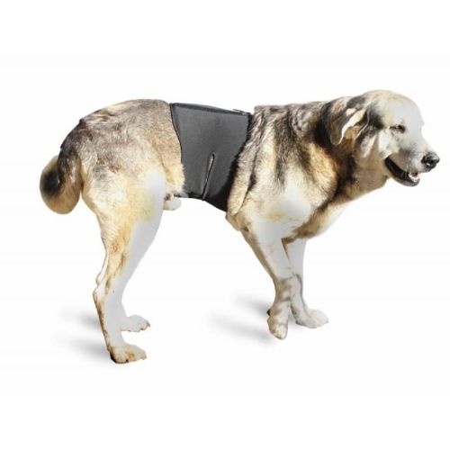 Wirbelsäulenversteifung für Hunde Ortocanis ortocanis-ochraniacz-kregoslupa-dla-psa (2).jpg