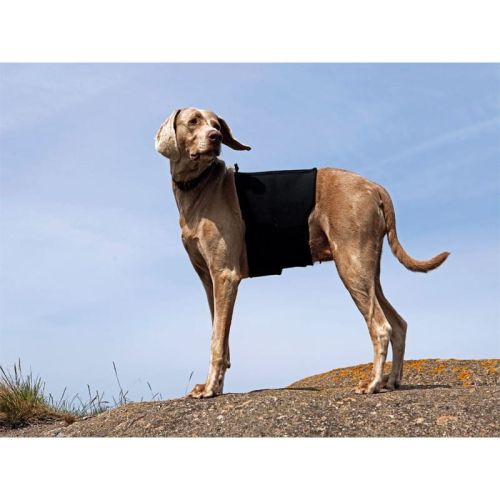 Wirbelsäulenversteifung für Hunde Ortocanis ortocanis-ochraniacz-kregoslupa-dla-psa.jpg