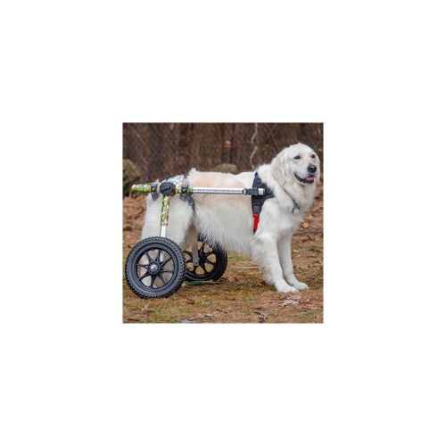 Walkin Warrior Hundehebegeschirr für hinten walkin-warrior-hatso-ham-kutyakocsihoz- (4).jpg