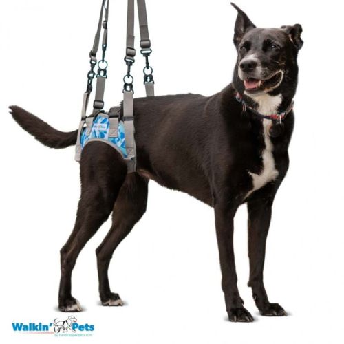 Walkin Warrior Hundehebegeschirr für hinten walkin-warrior-hatso-ham-kutyakocsihoz- (3).jpg