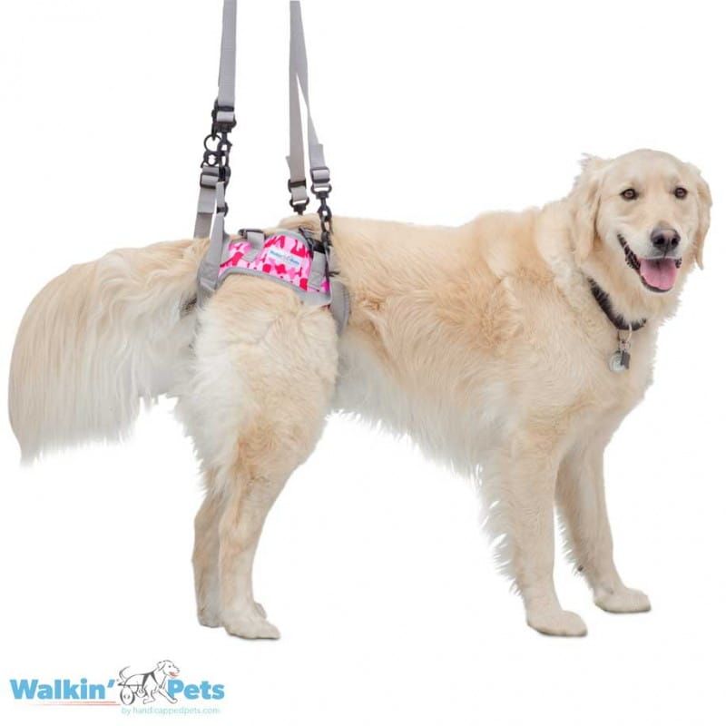 Walkin Warrior Hundehebegeschirr für hinten