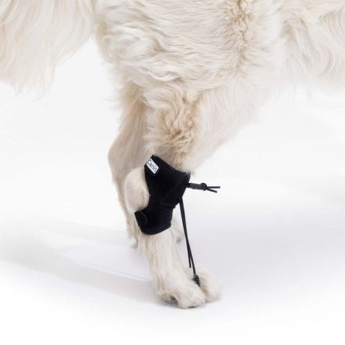 Ortocanis-Gangkorrektursystem für Hunde ortocanis-aparat-do-korekcji-chodu-dla-psa (3).jpg