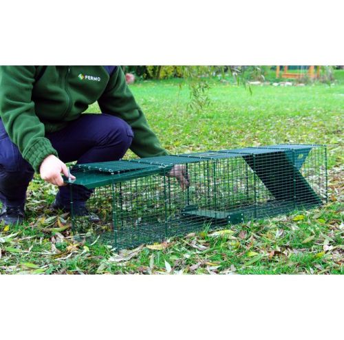 Gecko-Falle mit zwei Eingängen 120 cm für Marder, Katzen 4_kopia.jpg