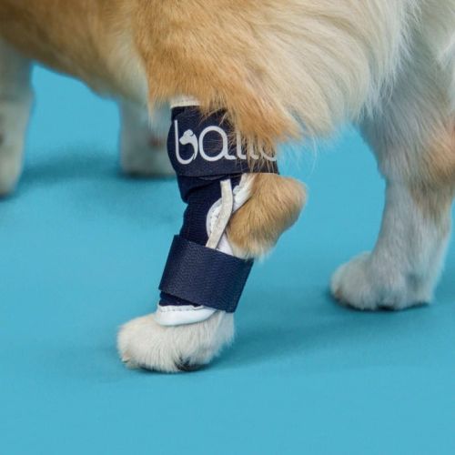 Balto Hund Knöchelschiene mit Schiene balto-orteza-kostki-z-szyna-dla-psa (2).jpg